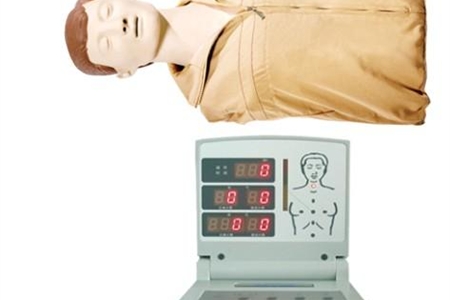 KAR/CPR260 ߼ķθģ